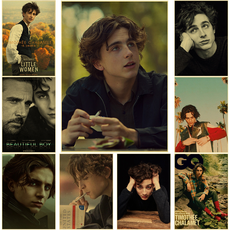 Home Bar And Theater - Timothee Chalamet Retro Canvas Painting Poster