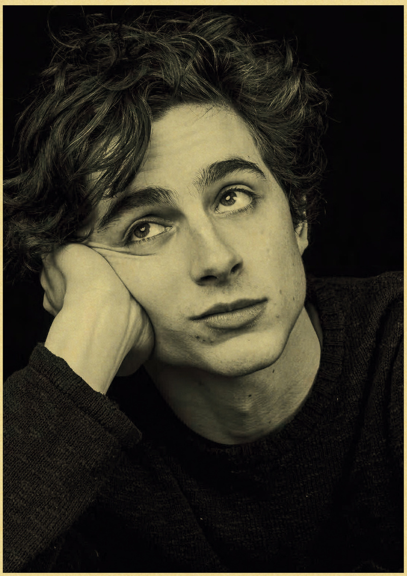 Timothee Chalamet Retro Canvas - огляд і ціна Home Bar And Theater