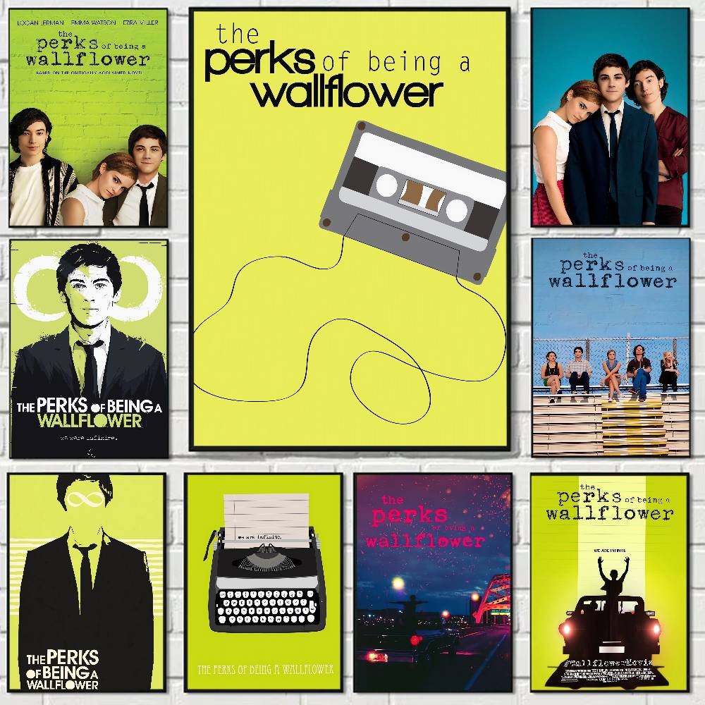 Movie The Perks Of Being A Wal - огляд і ціна Home Bar And Theater